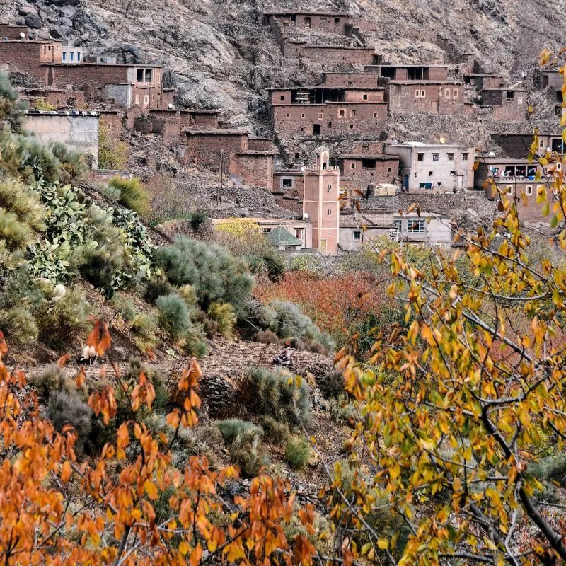 Red clay and stone houses of a Berber village in the Imlil valley, with a mosque minaret and autumn walnut trees
