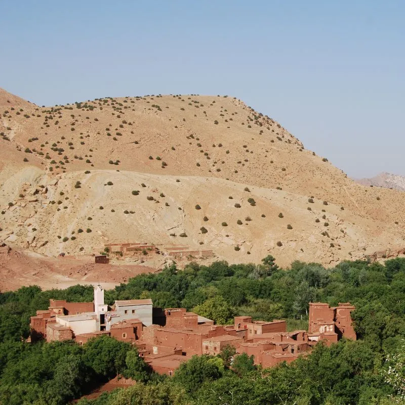 A red clay Berber village among green walnut trees below a dry hillside in the High Atlas