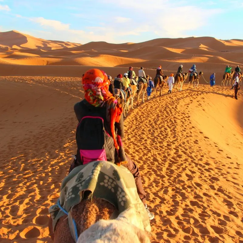 A line of camels and riders crossing the orange dunes of Erg Chebbi in low evening light